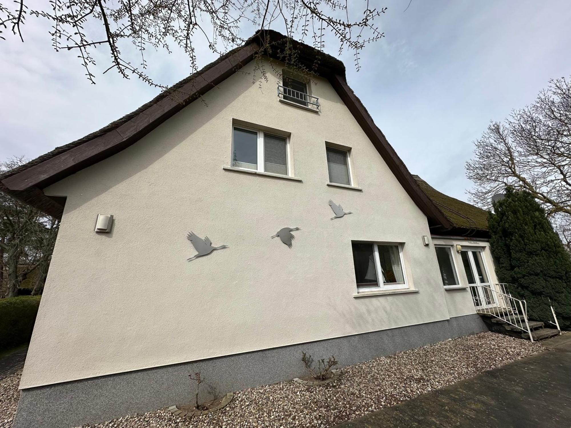 Apartamento Boddenhaus Darss Wieck Exterior foto